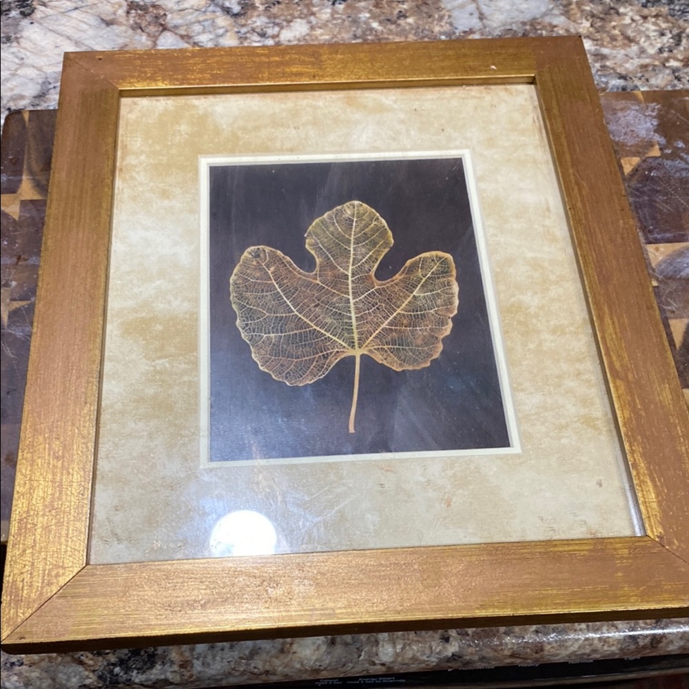 Gold and Brown Leaf Photography Art
